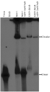 FIG. 3.