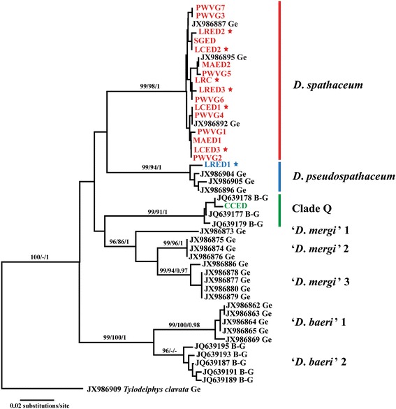 Figure 2