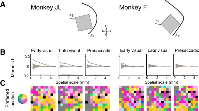 Fig. 9.