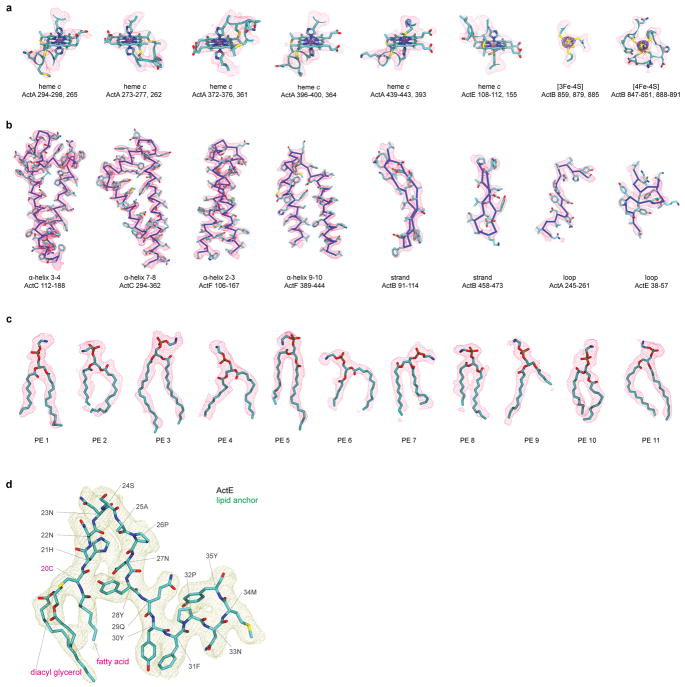 Extended Data Figure 7