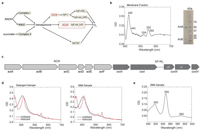 Extended Data Figure 1