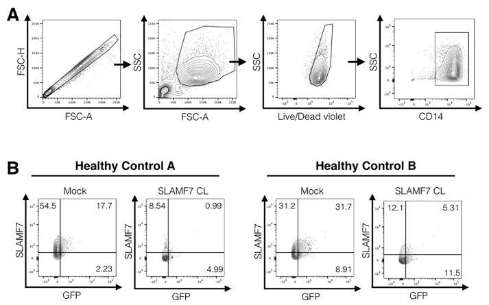 Figure 3.