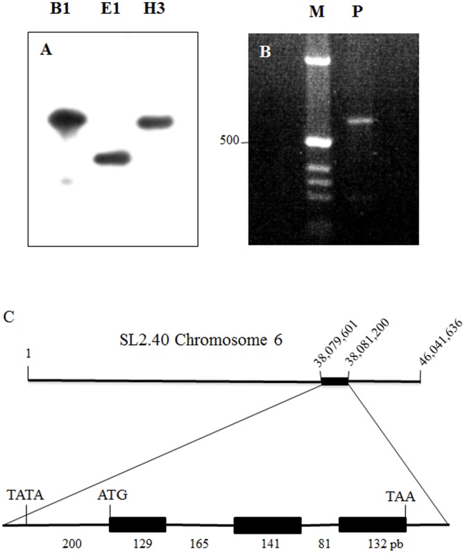 Figure 1