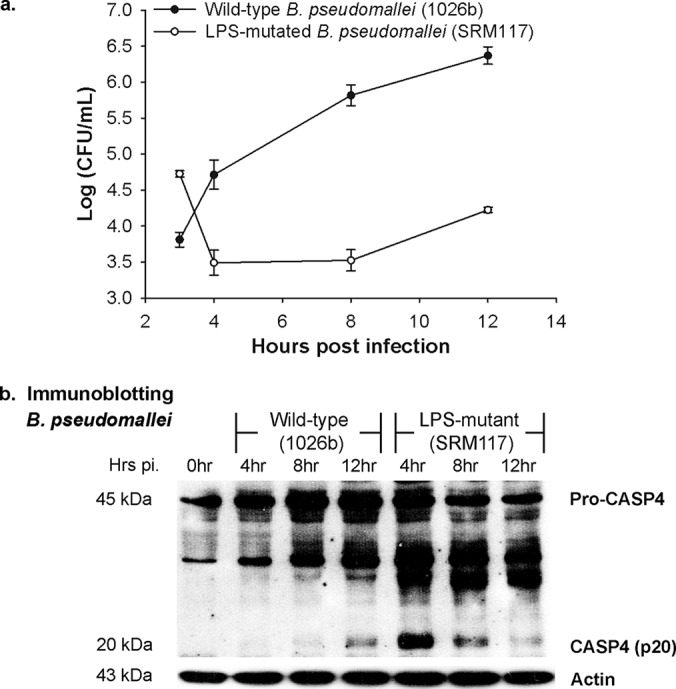 FIG 3