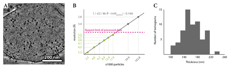 Extended Data Figure 7