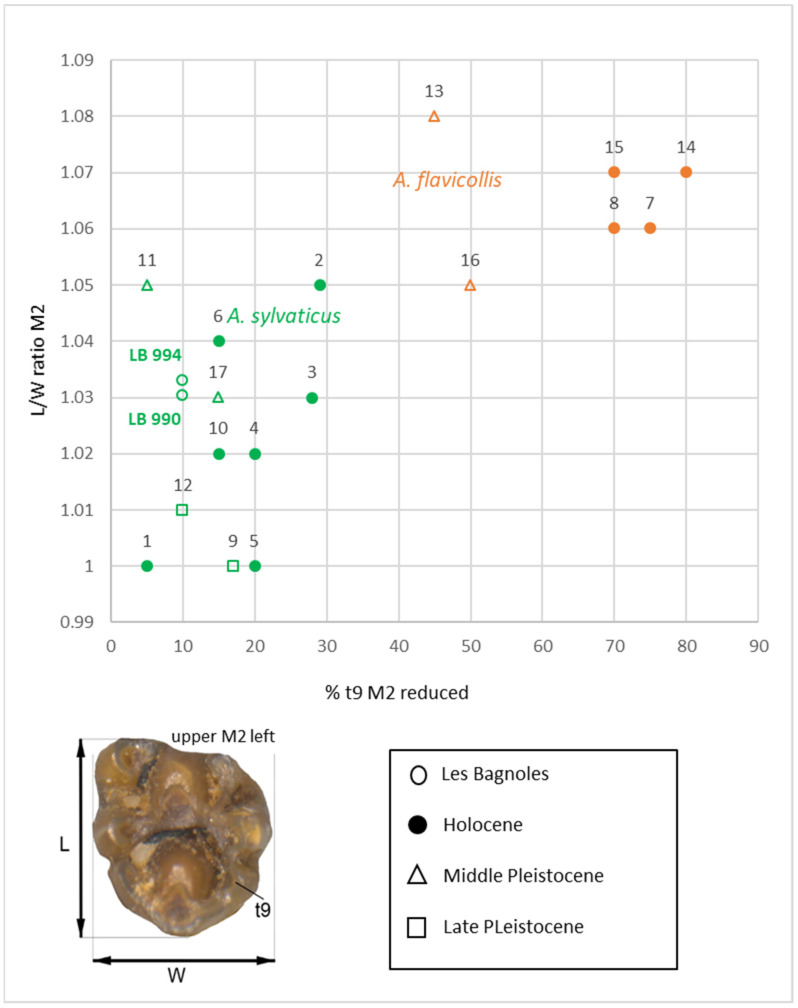 Figure 5