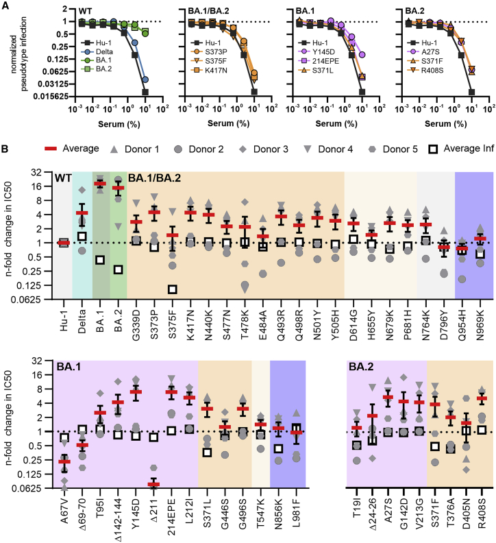 Figure 6