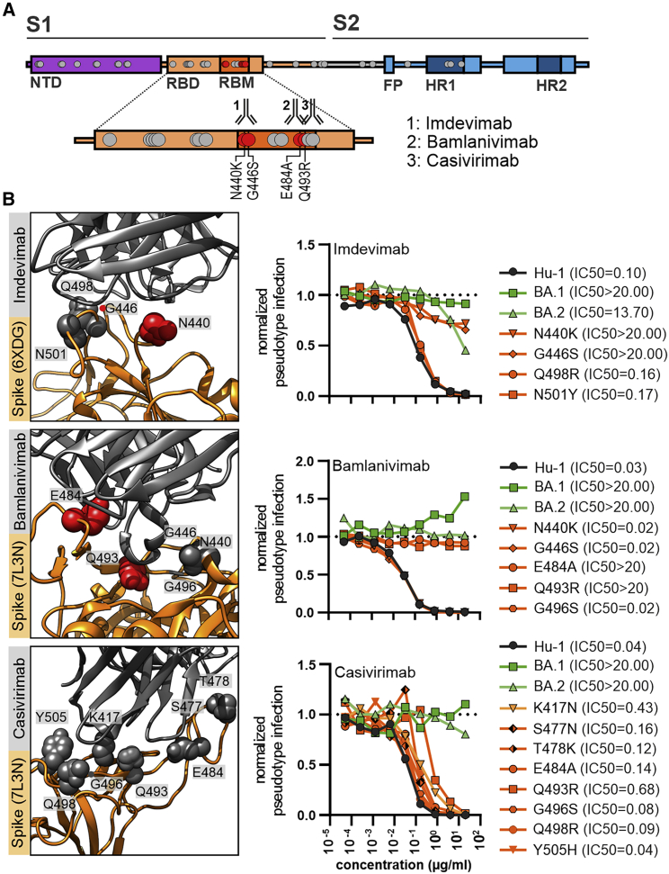 Figure 7