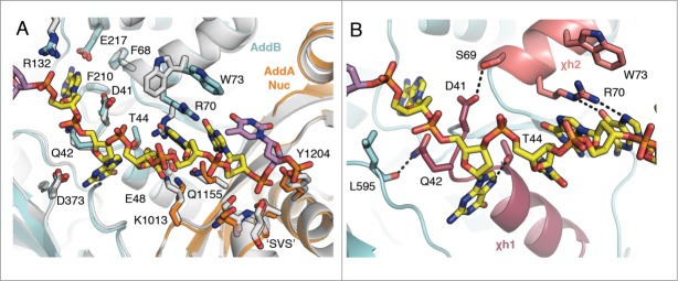 Figure 3.