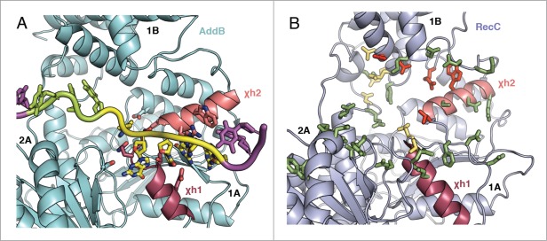 Figure 5.