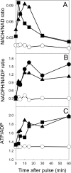 FIG. 7.