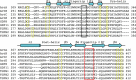 Figure 7—figure supplement 1.