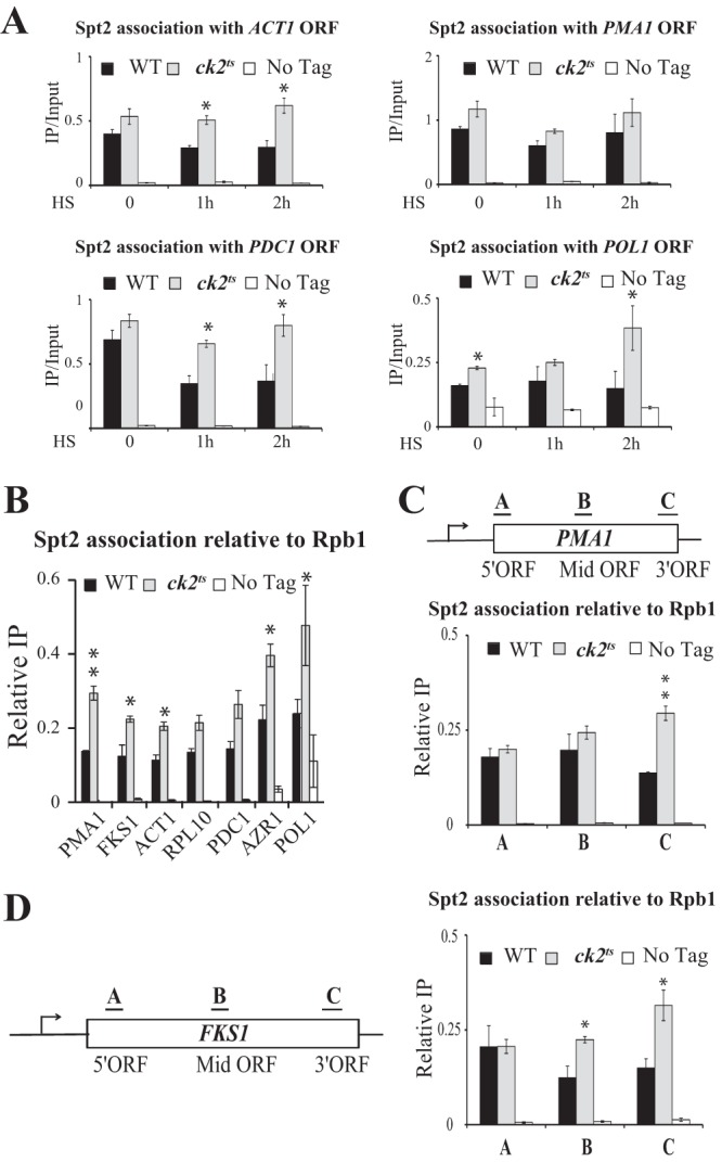 Fig 8