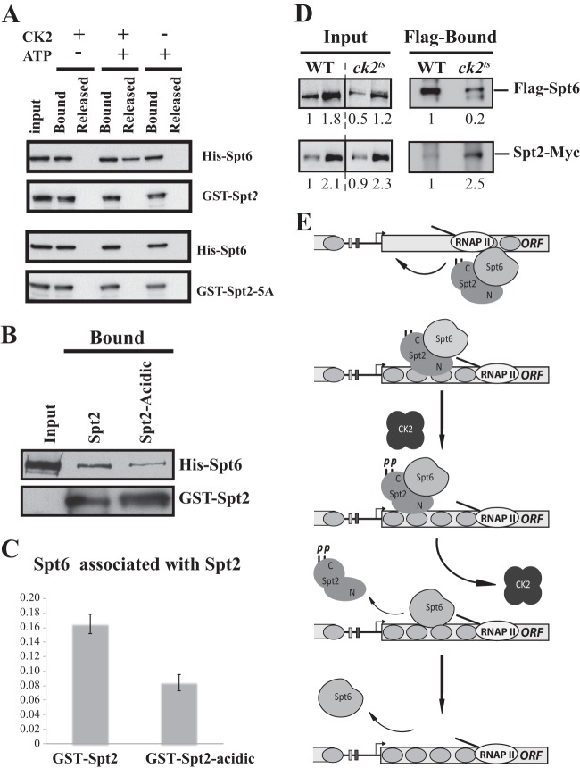 Fig 10