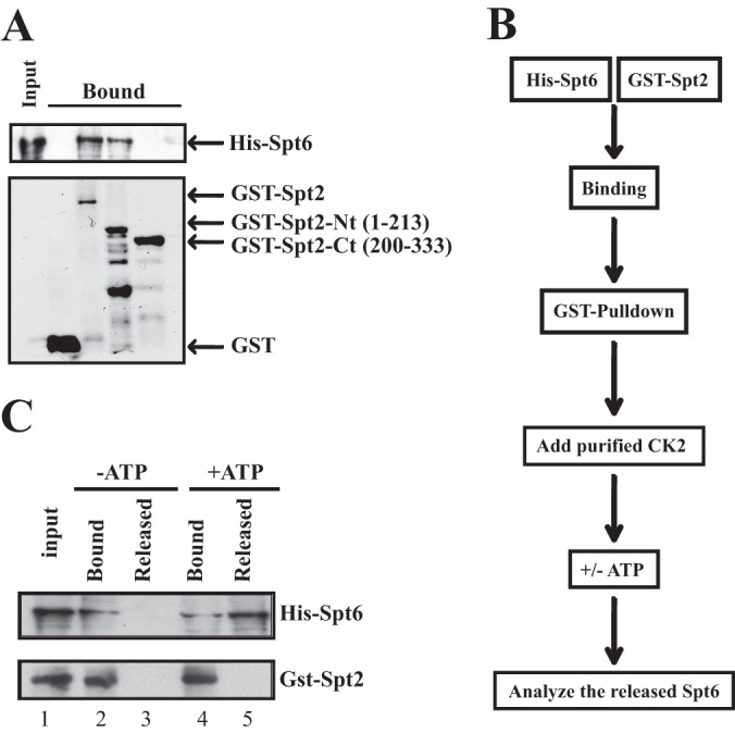 Fig 9