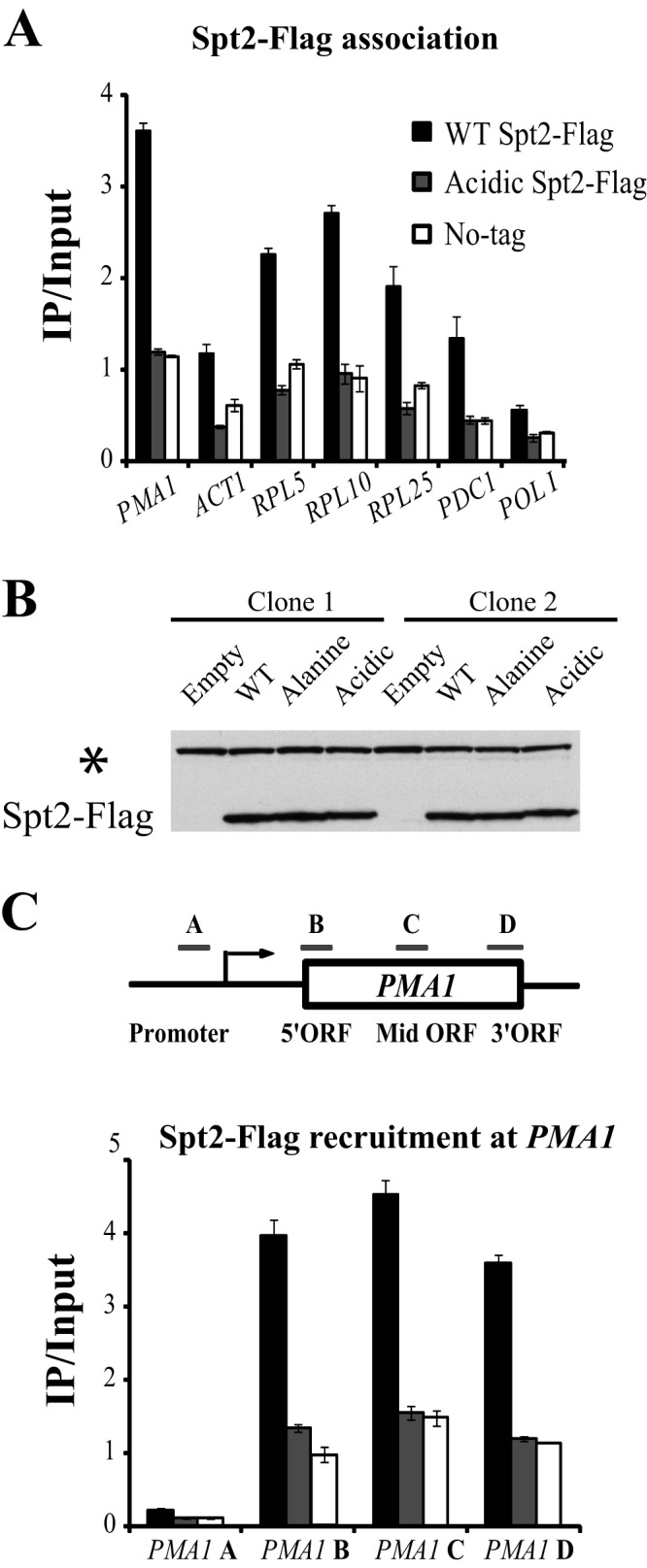 Fig 7