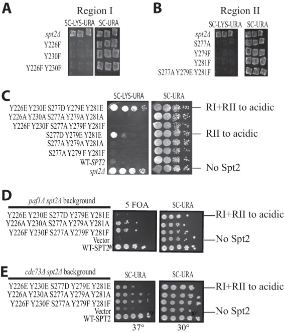 Fig 5