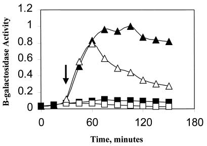 FIG. 6