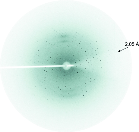 Figure 2