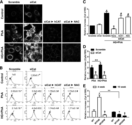 FIG. 6.