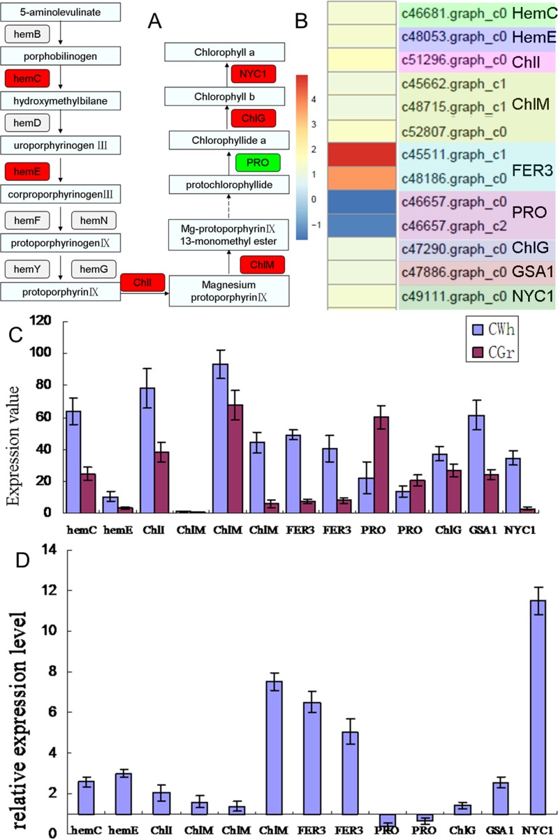 Fig 6