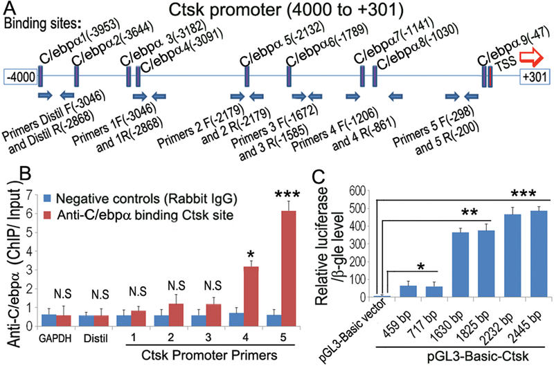 Figure 6: