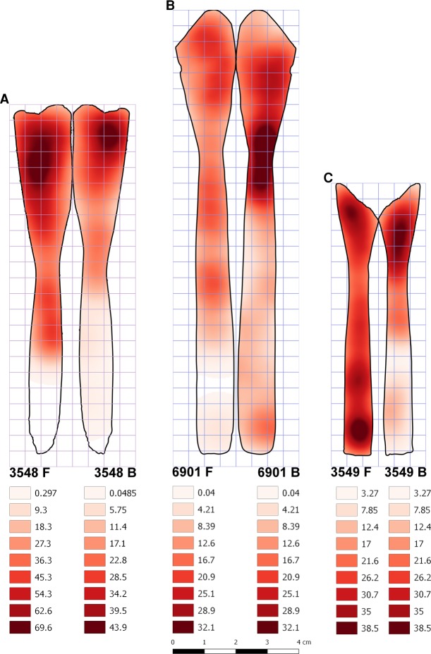 Fig 13