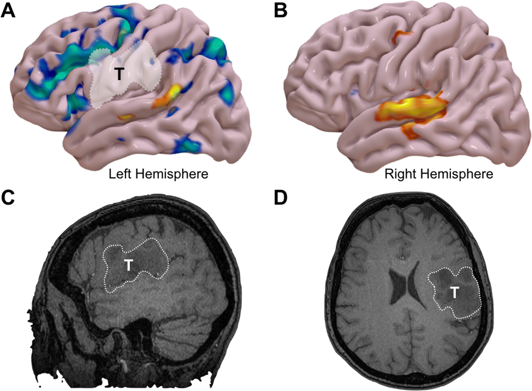 Figure 2: