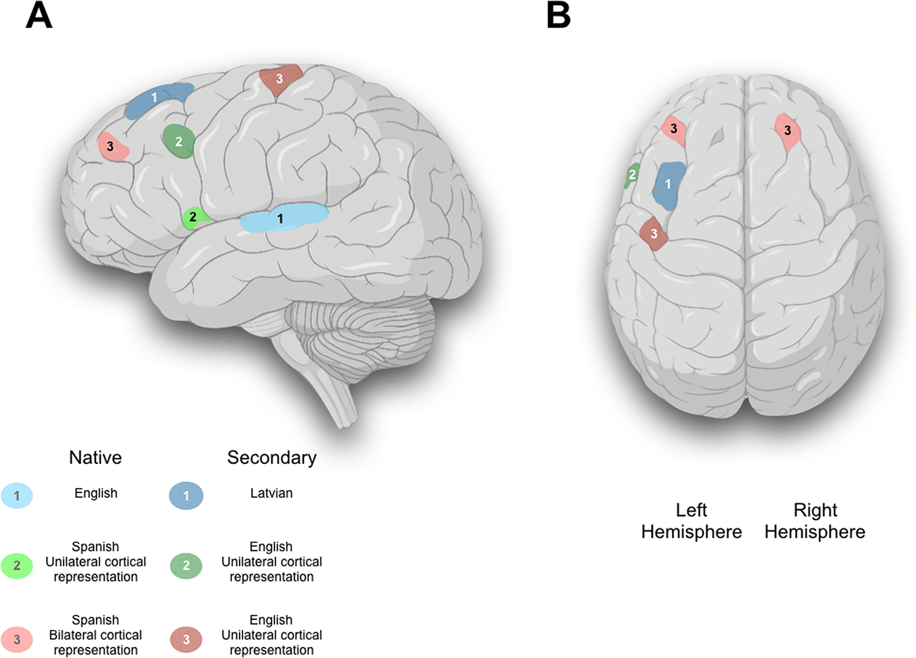 Figure 1: