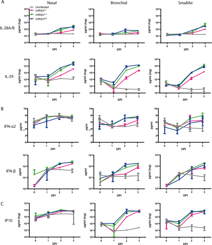 FIG 3