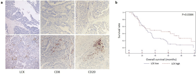 Fig. 3