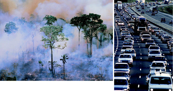 School of hard NOx. Burning of biomass and combustion of fossil fuels both produce NOx, a significant contributor to the formation of smog and ground-level ozone.