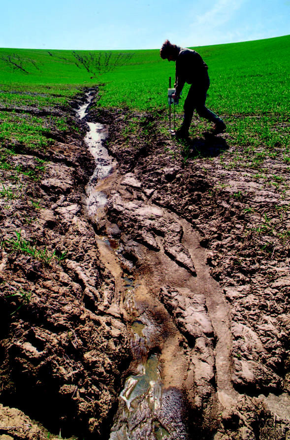 Saturation point. Experts warn that nitrogen-saturated soils may not be able to keep the excess from the environment.