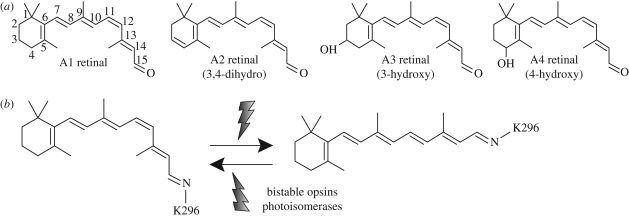 Figure 3.