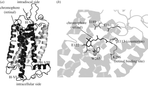 Figure 2.