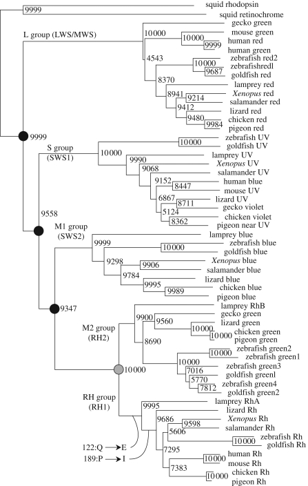 Figure 6.