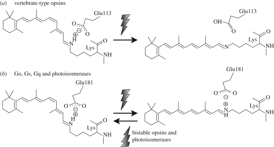 Figure 5.