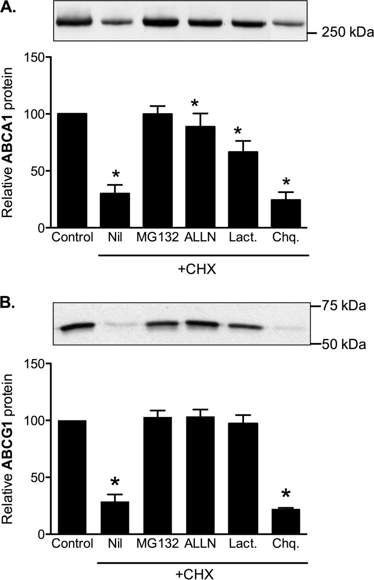 FIGURE 9.