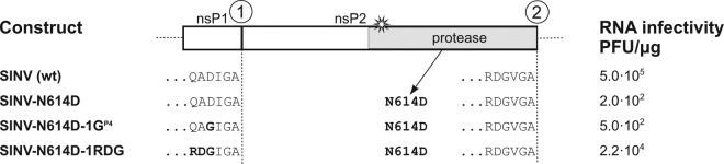 FIG 3