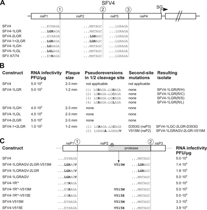 FIG 1