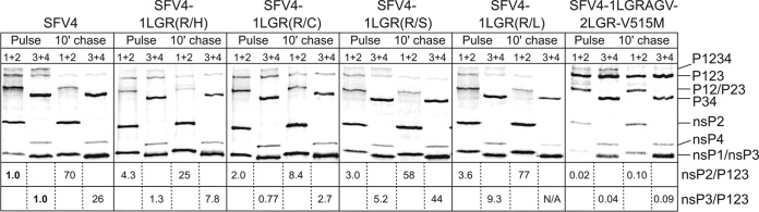 FIG 2