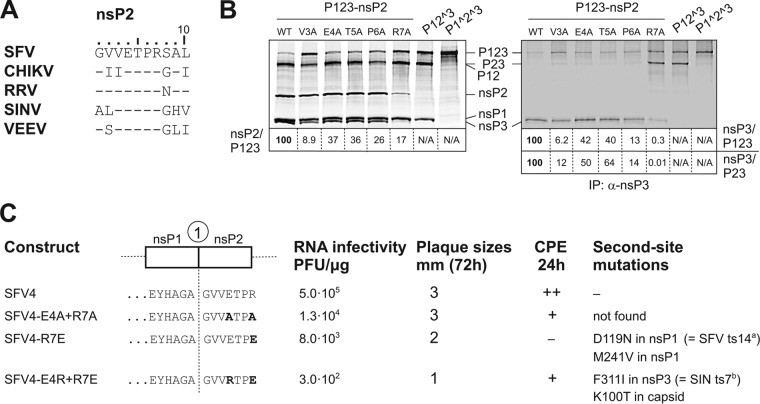 FIG 5