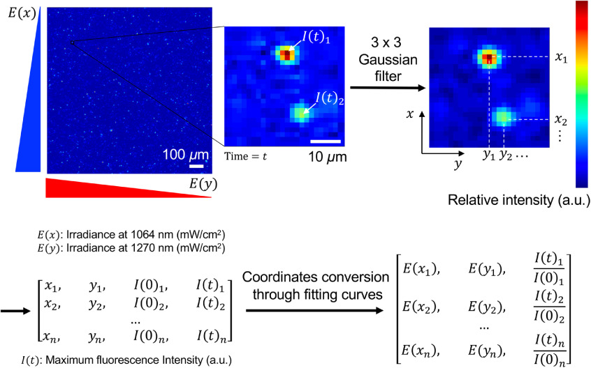 Fig. 4