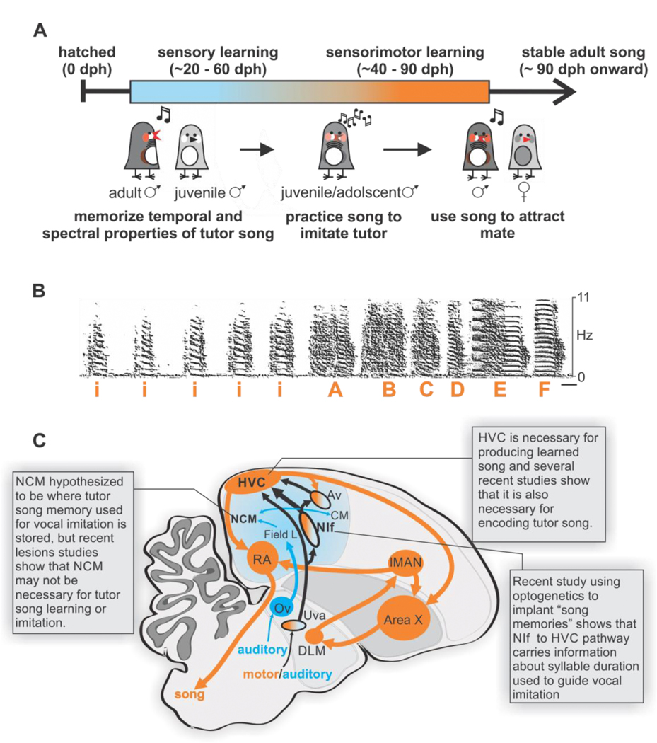 Figure 1 |