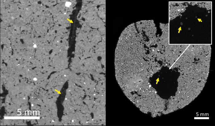 Fig. 8.