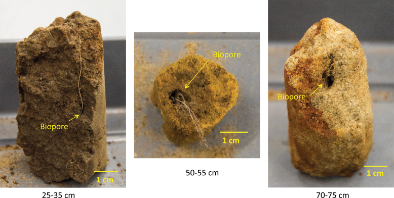 Fig. 7.