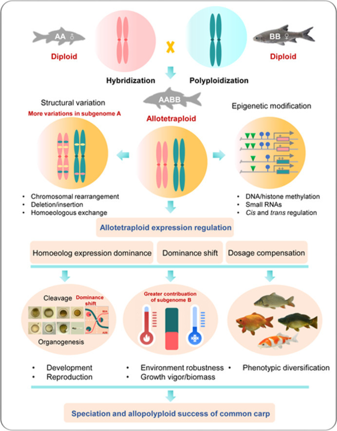 Image, graphical abstract