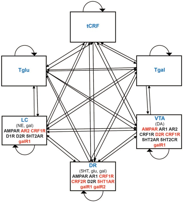 FIGURE 1