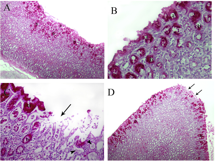 Figure 3