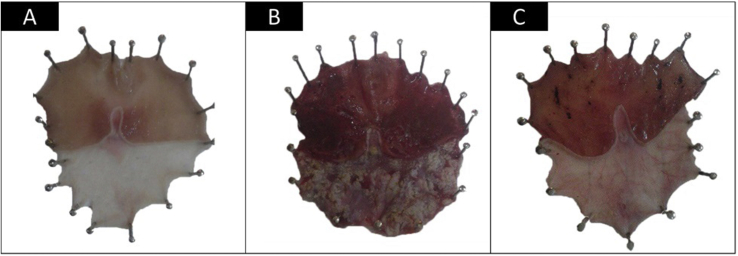 Figure 1